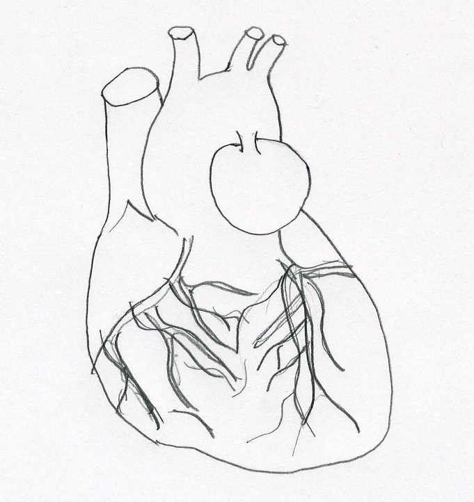 hart